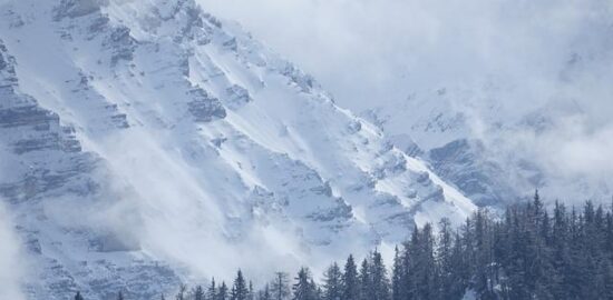 Přehled spotřebičů pro domácnost