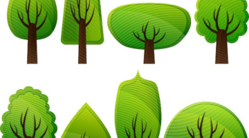 Typy stromů pro vaši zahradu