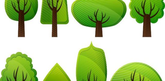 Význam stromů v našem životě