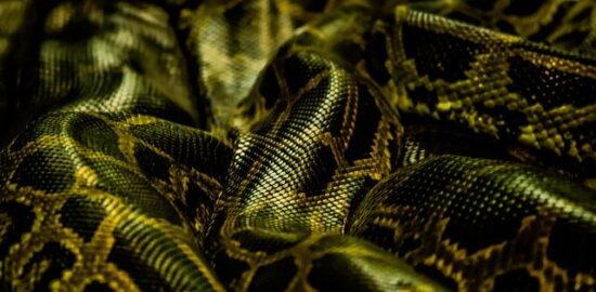 Inspirace pro nové hobby – čeština