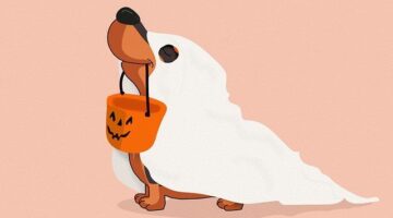 Jak udělat dekoraci na Halloween pomocí DIY?