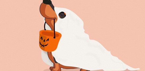 Jak udělat dekoraci na Halloween pomocí DIY?