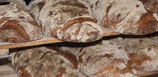 Potraviny, které posilují imunitní systém