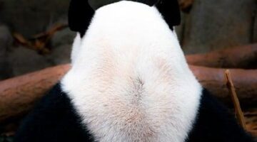 Základy úspěšného hledání pravé lásky