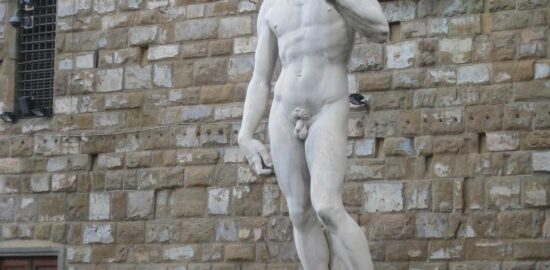 Jaké jsou nejznámější pokojové rostliny?