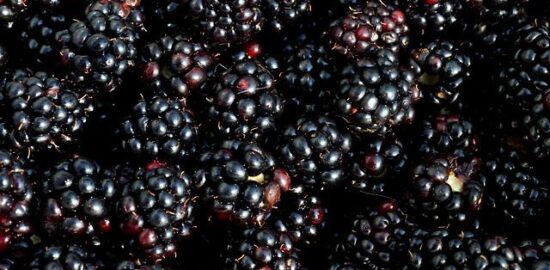 Jak vybrat čerstvé a chutné ovoce