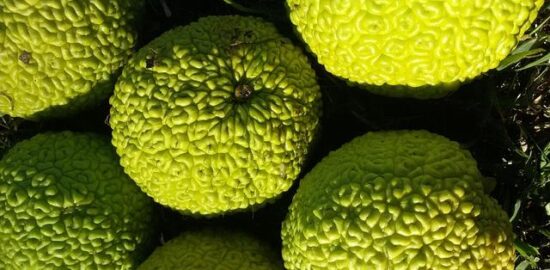 Vytvoř si sám originální dekorace