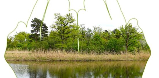 Jak udržovat a posilovat vztahy