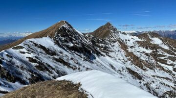 Top 5 nejoblíbenějších hobby v ČR pro rok 2023