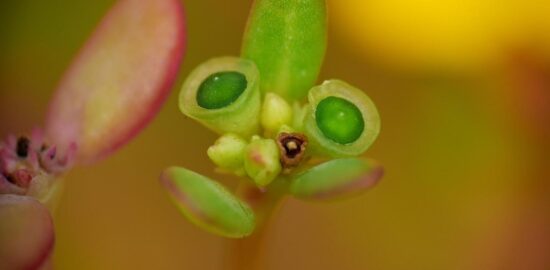 Tipy pro začínajícího hobby mistra