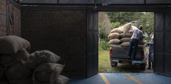 Jak pěstovat orchideje v bytových podmínkách