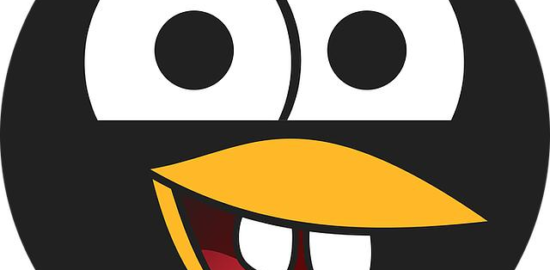 Začátečníkův průvodce novým hobby