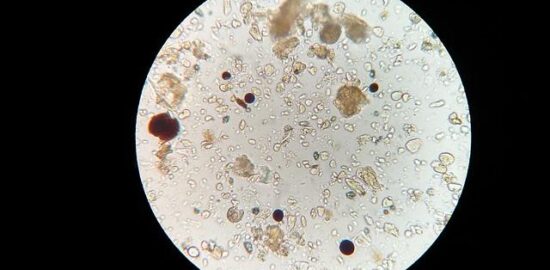 Tipy na údržbu půdního domu