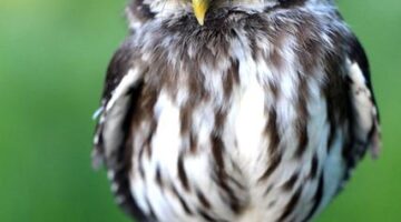 Jak upevnit vztahy s partnerem: 5 tipů