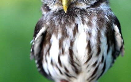 Jak upevnit vztahy s partnerem: 5 tipů