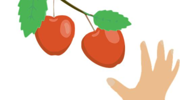 Jak vybrat a skladovat ovoce správně