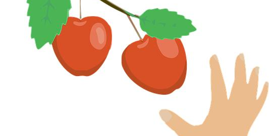 Jak vybrat a skladovat ovoce správně