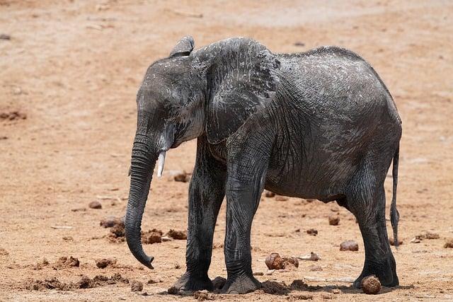Jak udržet zdravé vztahy v češtině?