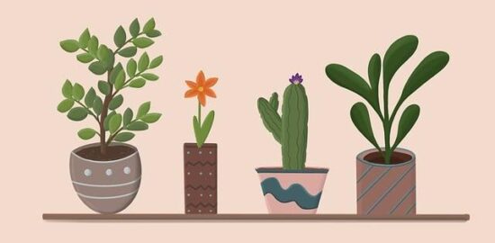 Tipy pro výběr správného květináče