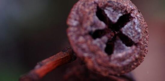 Jak se vyrovnat s nemocí: Informative