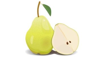 5 nezbytných vitamínů pro zimní období