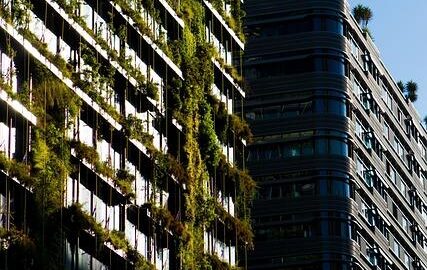 Jak zahradničit s rozmyslem