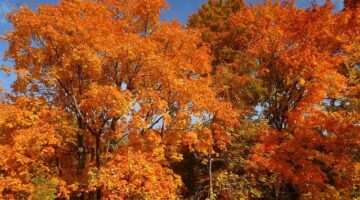 Jak vybrat správnou barvu pro váš byt