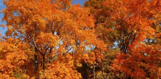 Jak vybrat správnou barvu pro váš byt