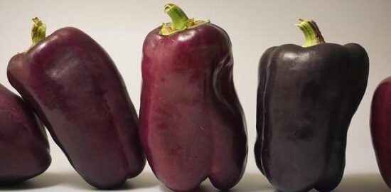 Jak si udržet zdraví v dnešní uspěchané době