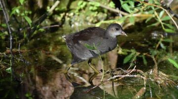 Jak najít své nové hobby | Inspirace