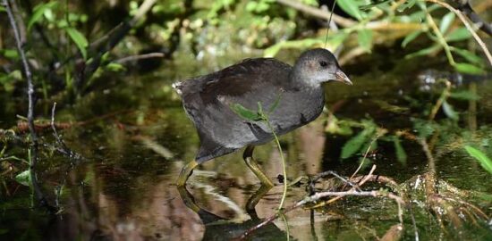 Jak najít své nové hobby | Inspirace