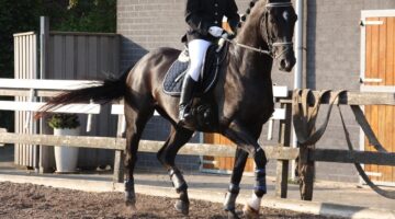 Jak si doma vyrobit originální svíčky