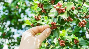 Jak vybrat ideální hobby