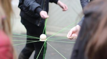 Jak poznat a identifikovat stromy – Informative