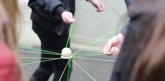 Jak poznat a identifikovat stromy – Informative