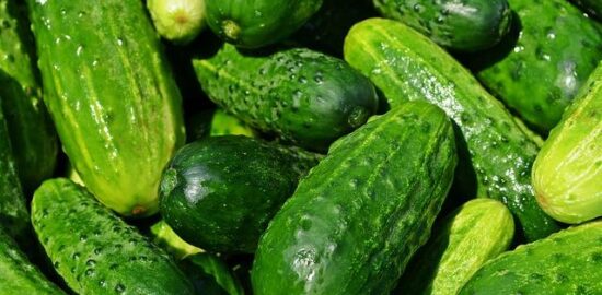 Jak poznat čerstvé potraviny