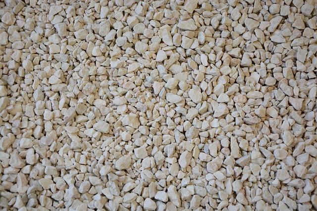 Jak správně využít hnojivo na zahradě