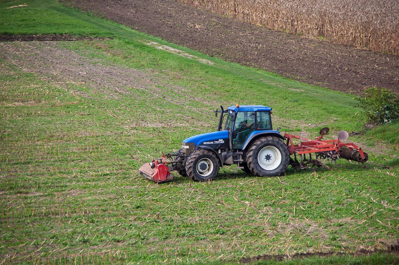 Jak pěstovat bylinky doma – návod