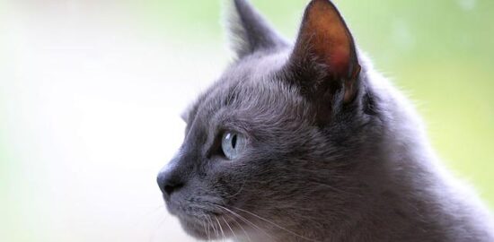 Domácí dřevěné dekorace: Od návrhu po realizaci