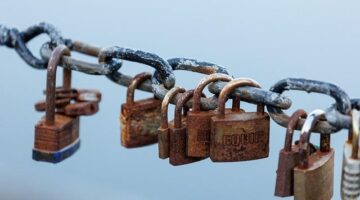 Hledání lásky online: Které aplikace fungují?