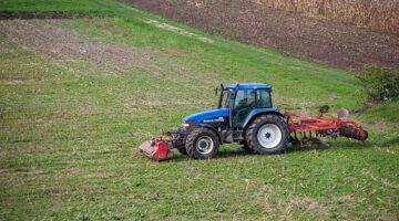 Jak pěstovat květinu: návody