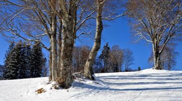 Tipy pro začátečníky ve výtvarném hobby