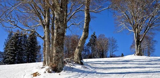 Tipy pro začátečníky ve výtvarném hobby