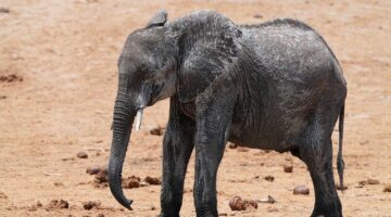 Jak udržet zdravé vztahy ve vztahu?