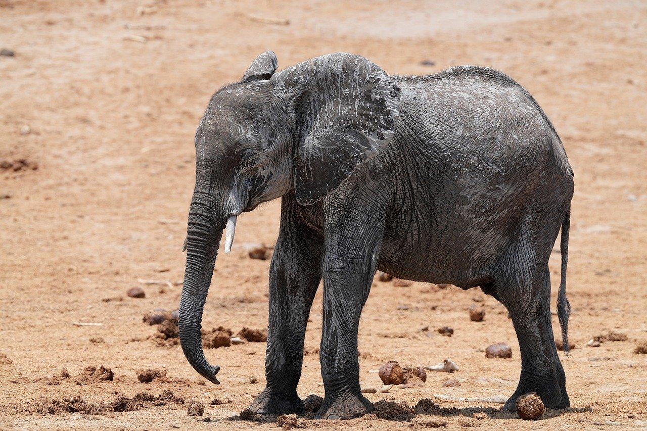 Jak udržet zdravé vztahy ve vztahu?