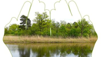 Jak udržovat zdravé vztahy – Informative