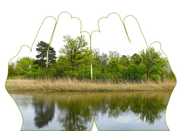 Jak udržovat zdravé vztahy – Informative