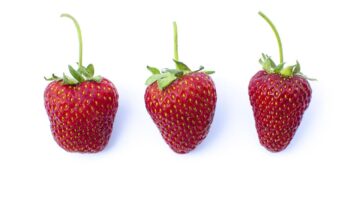 Potraviny pro zdraví: Jak správně vybírat?