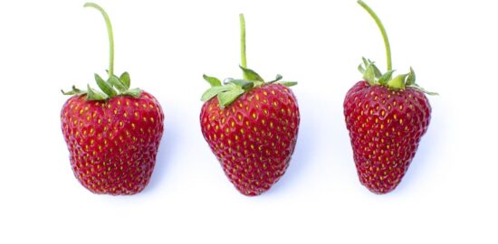 Potraviny pro zdraví: Jak správně vybírat?