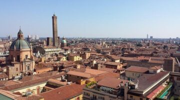 Přehled různých druhů ovoce